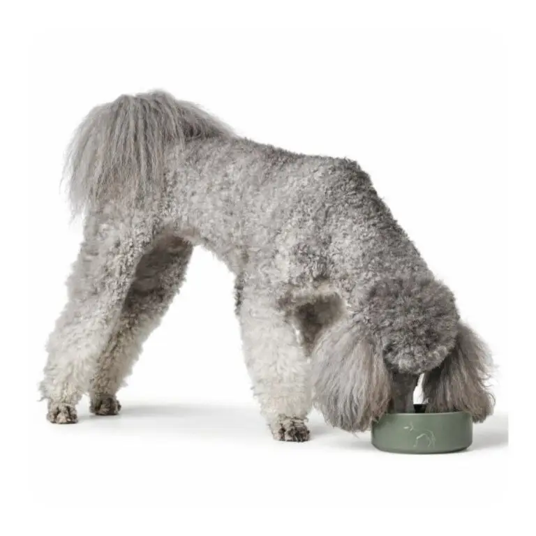 Hunter Osby Madskål Grøn