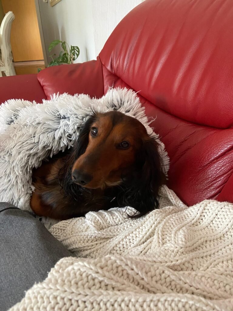 Image #1 from Charlotte Rasmussen