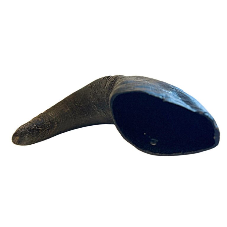Buffalo Horn Bøffelhorn Medium
