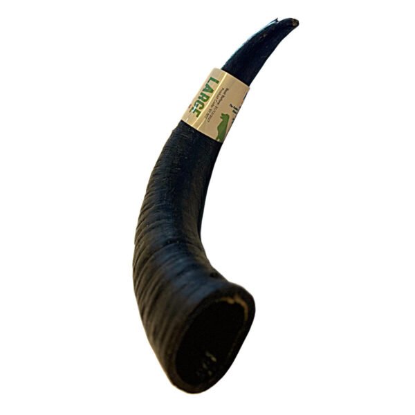 Buffalo Horn Bøffelhorn Large - Image 3