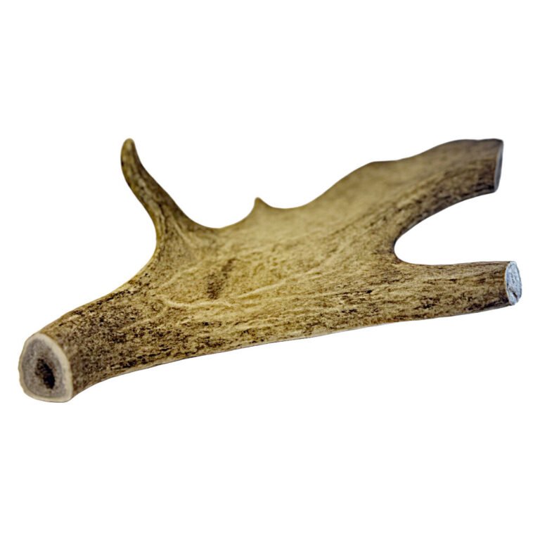 Highland Antler Dådyr Gevir Flad Large