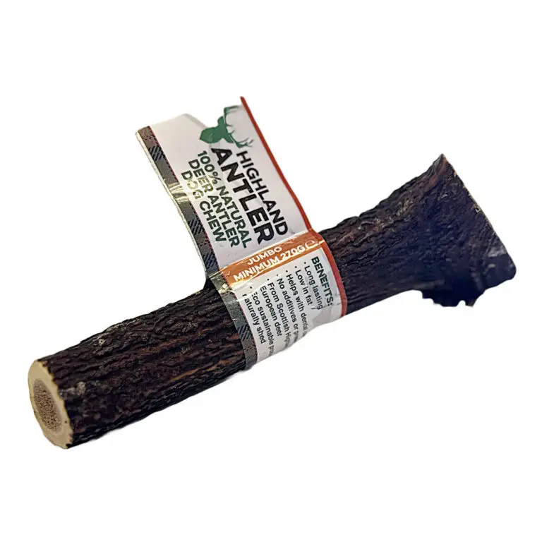 Highland Antler Hjorte Gevir Hel Jumbo