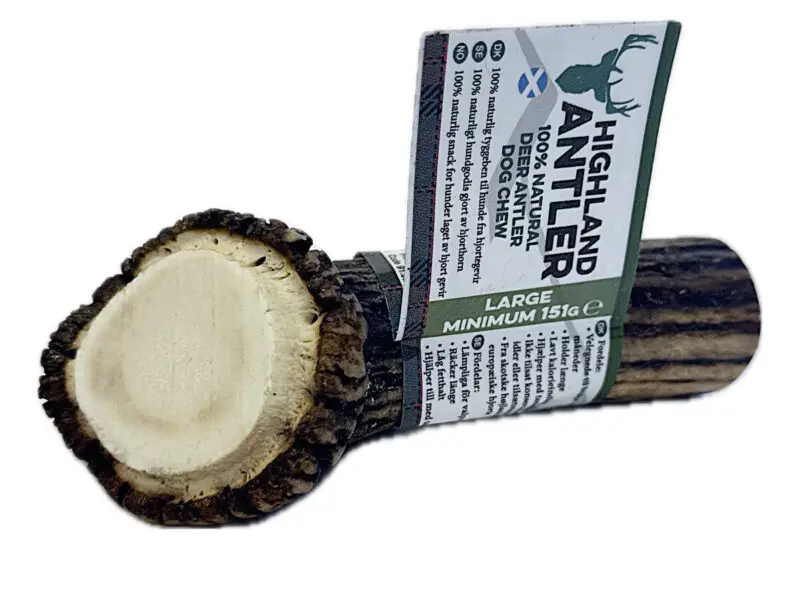 Highland Antler Hjorte Gevir Hel Large