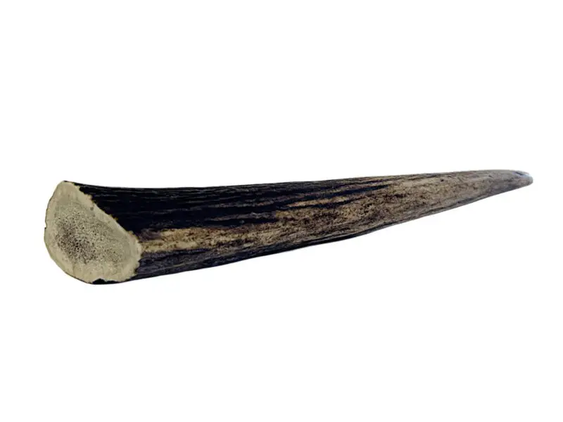 Highland Antler Hjorte Gevir Hel Medium