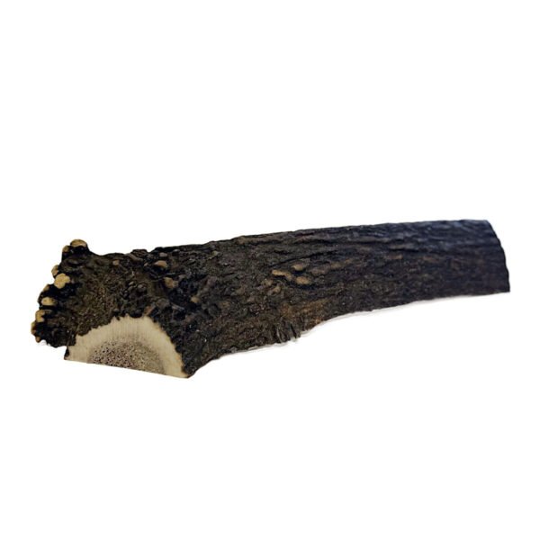 Highland Antler Hjorte Gevir Split XL - Image 2