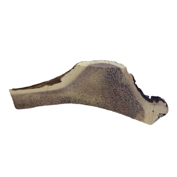 Highland Antler Hjorte Gevir Split XL - Image 3