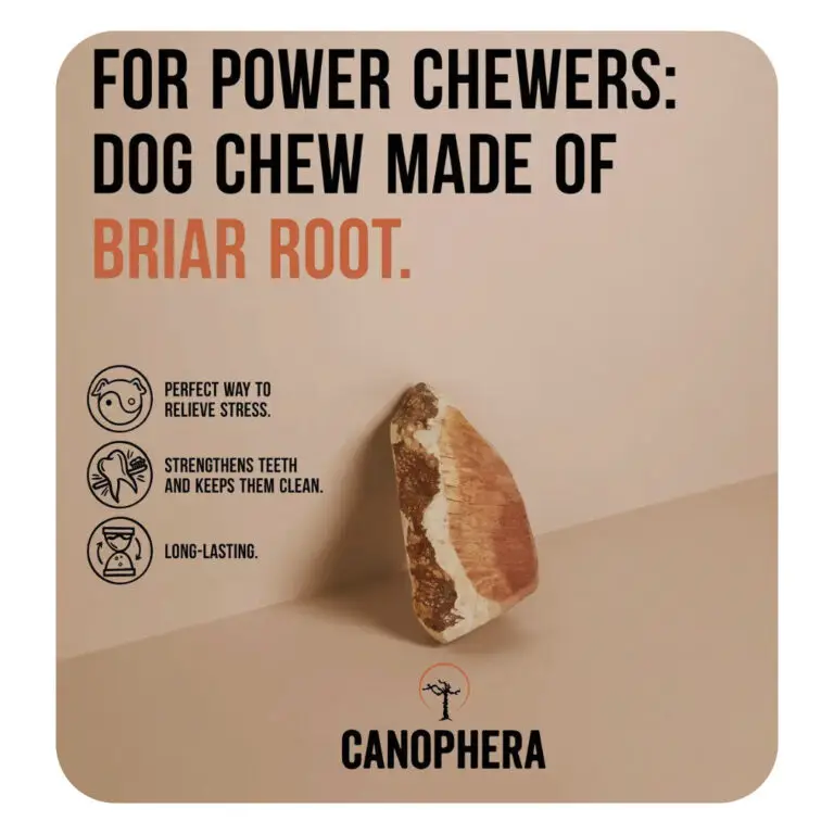 Canophera Eco Bone Tyggerod Lyngtræ