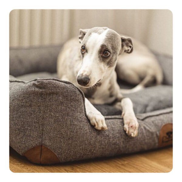 Swaggin Tails Sömnig Luksus Hundeseng Space Grey - Image 3