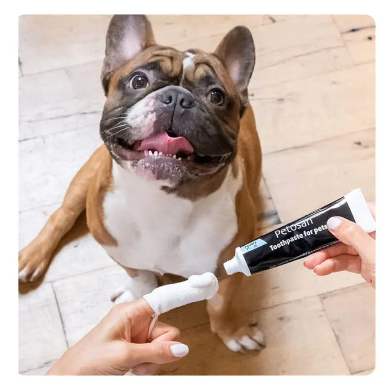 Petosan Oral Cleaner Fingertandbørste Til Hunde Microfiber