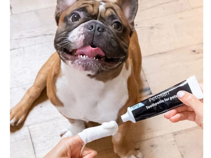 Petosan Oral Cleaner Fingertandbørste Til Hunde Microfiber