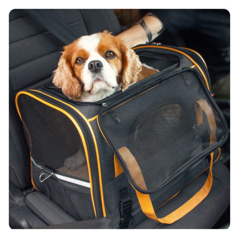 Hund Ist König Sort Transporttaske Høj Model