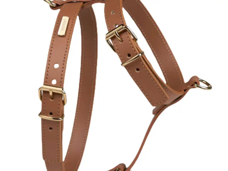 Branni Pets Nara Designer Hundesele Brun