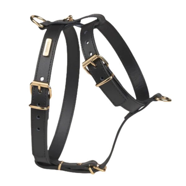 Branni Pets Nara Designer Hundesele Sort