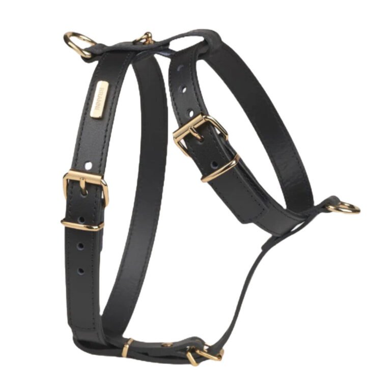 Branni Pets Nara Designer Hundesele Sort