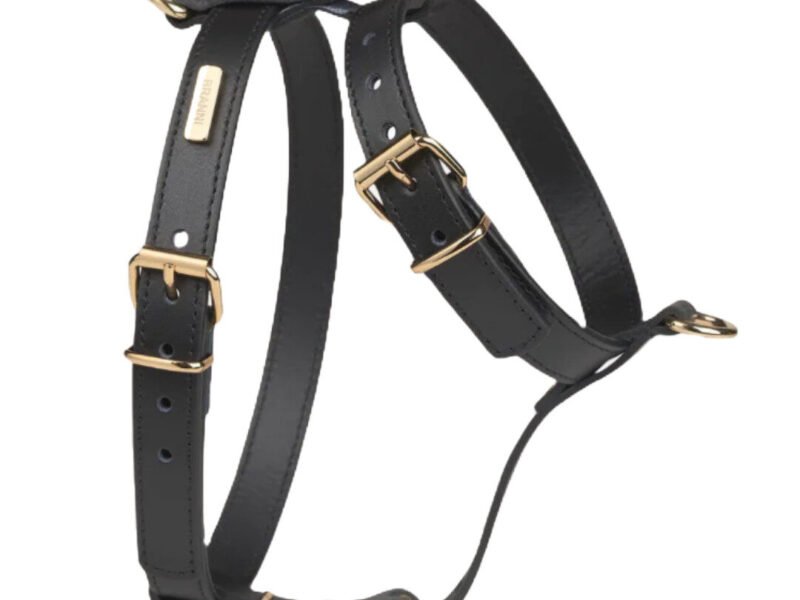 Branni Pets Nara Designer Hundesele Sort