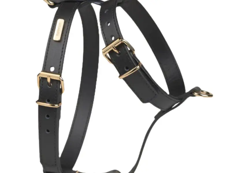 Branni Pets Nara Designer Hundesele Sort