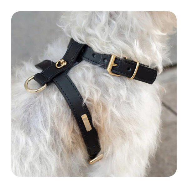 Branni Pets Nara Designer Hundesele Brun - Image 2