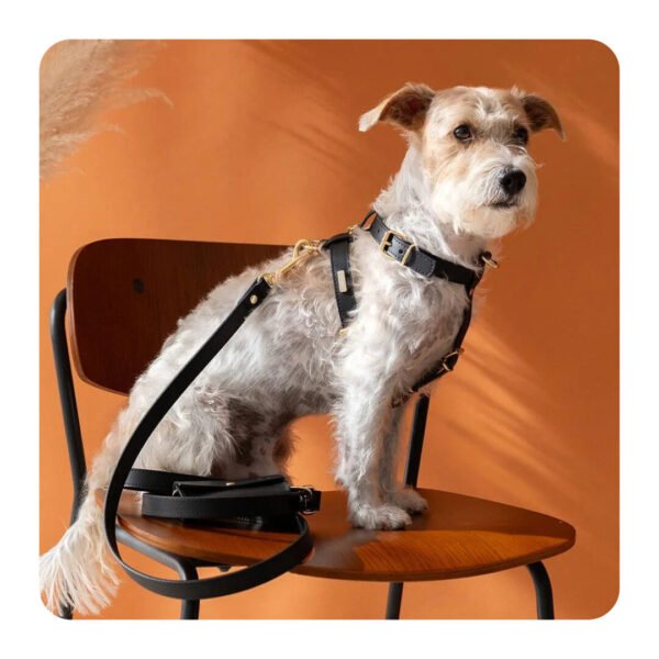 Branni Pets Nara Designer Hundesele Brun - Image 3