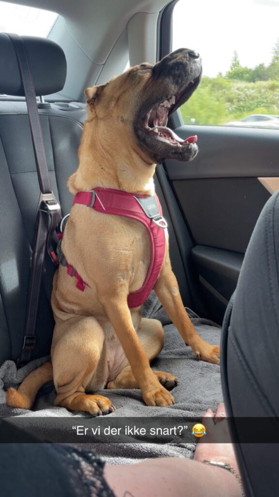 Image #2 from Louise