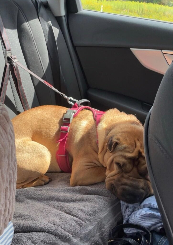 Image #1 from Louise