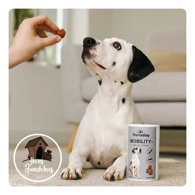 Namastay Healthy Chews Mobility+ 60 stk