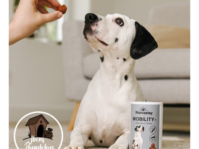 Namastay Healthy Chews Mobility+ 60 stk