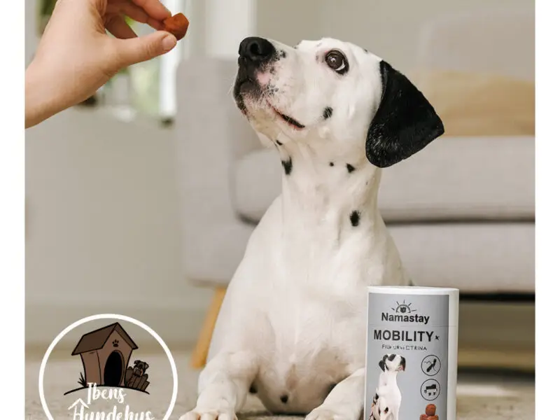Namastay Healthy Chews Mobility+ 60 stk