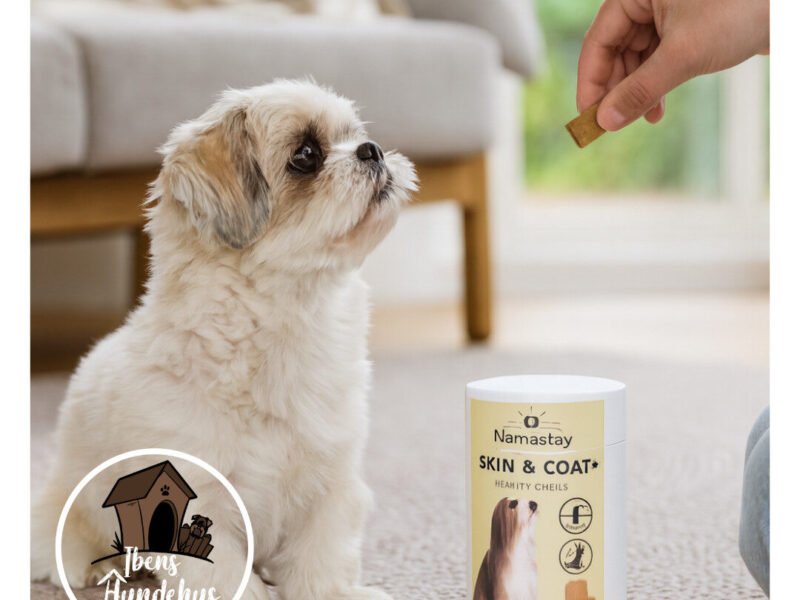 Namastay Healthy Chews Skin & Coat+ 60 stk
