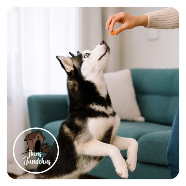 Namastay Healthy Chews Multi-Vit+ 60 stk