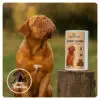 Namastay Healthy Chews Gland Guard+ 60 stk