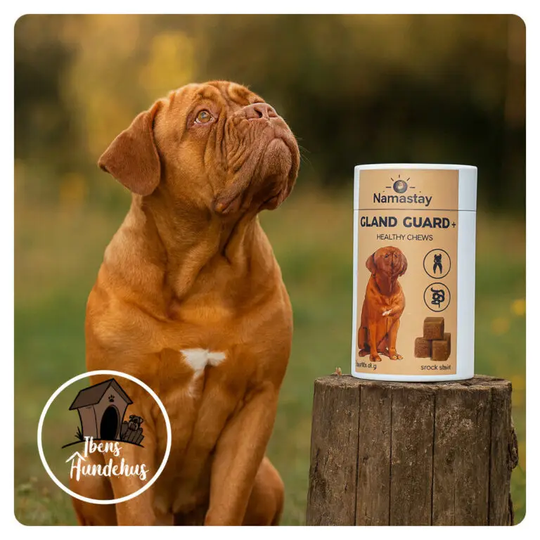 Namastay Healthy Chews Gland Guard+ 60 stk