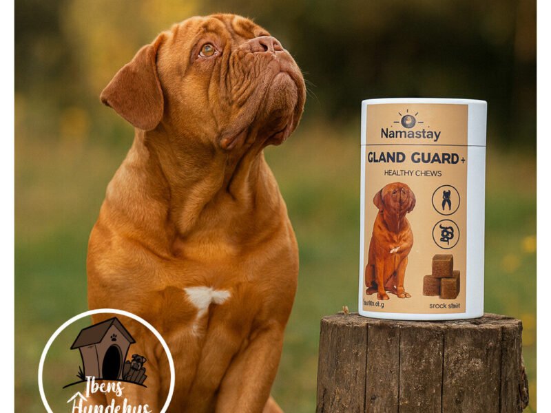 Namastay Healthy Chews Gland Guard+ 60 stk