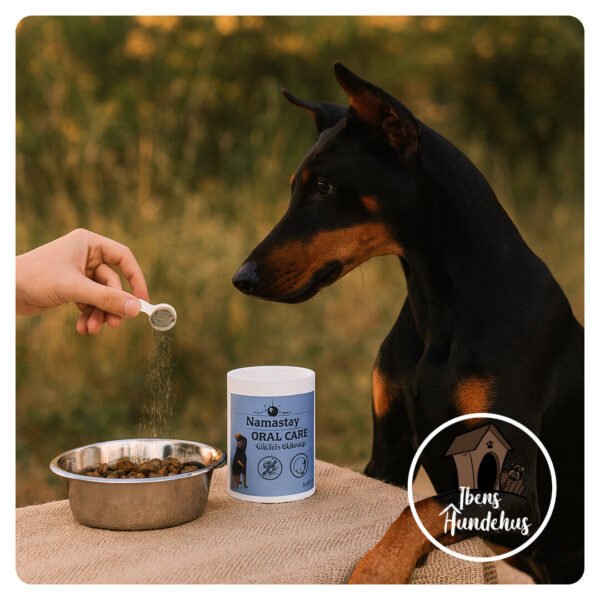 Namastay Healthy Powder Oral Care+ 60 g