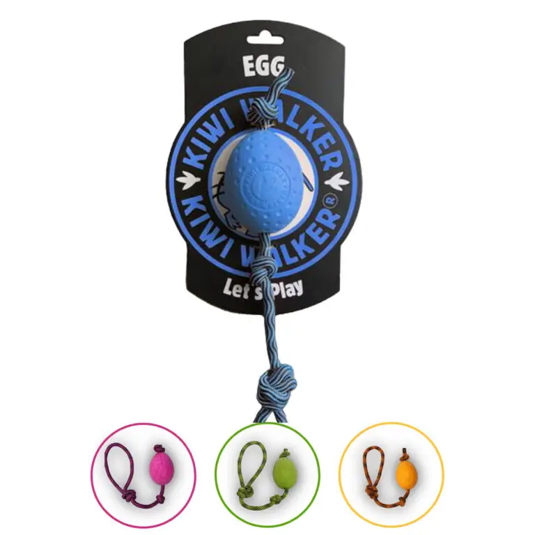 Kiwi Walker Legetøj Lets Play Egg Maxi Flydende Hundelegetøj