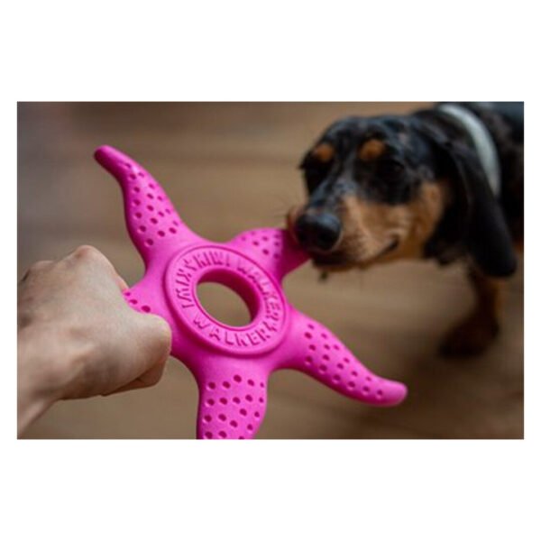 Kiwi Walker Legetøj Starfish & Octopus Maxi - Billede 4