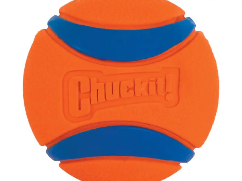 Chuckit Bold Ultra Ball Gummibold Large