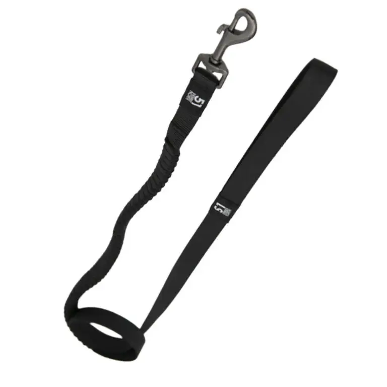 51 Degrees North Hundesnor Bungee Sort