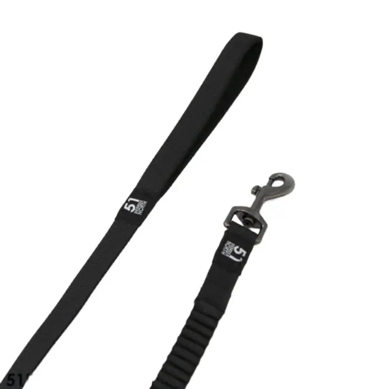 51 Degrees North Hundesnor Bungee Sort