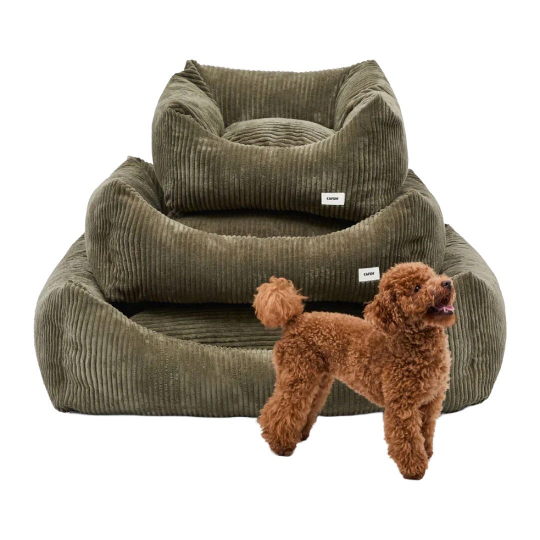 Cafide Snozy Hundeseng Grøn Fløjl - Billede 3