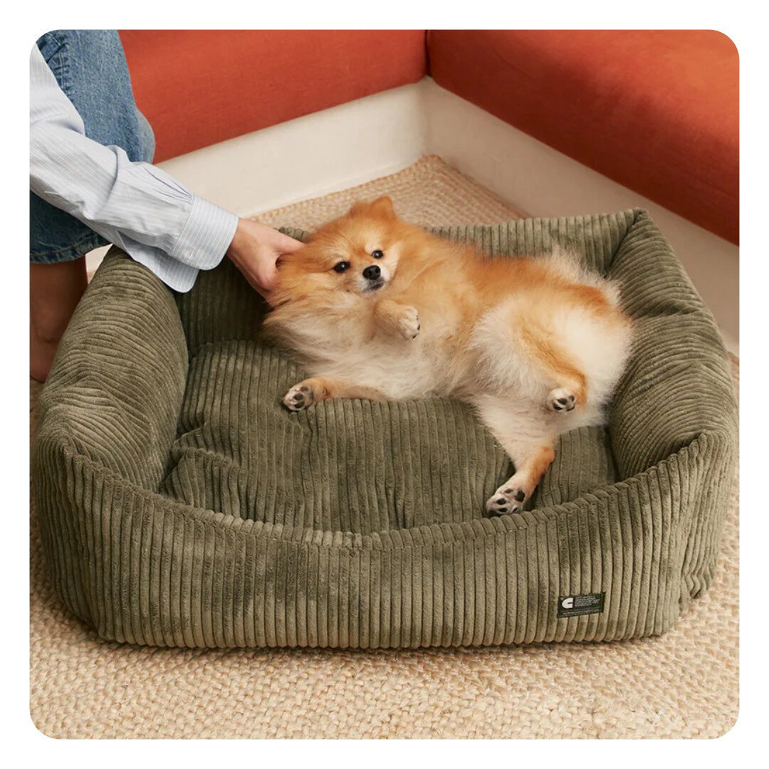 Cafide Snozy Hundeseng Grøn Fløjl - Billede 9