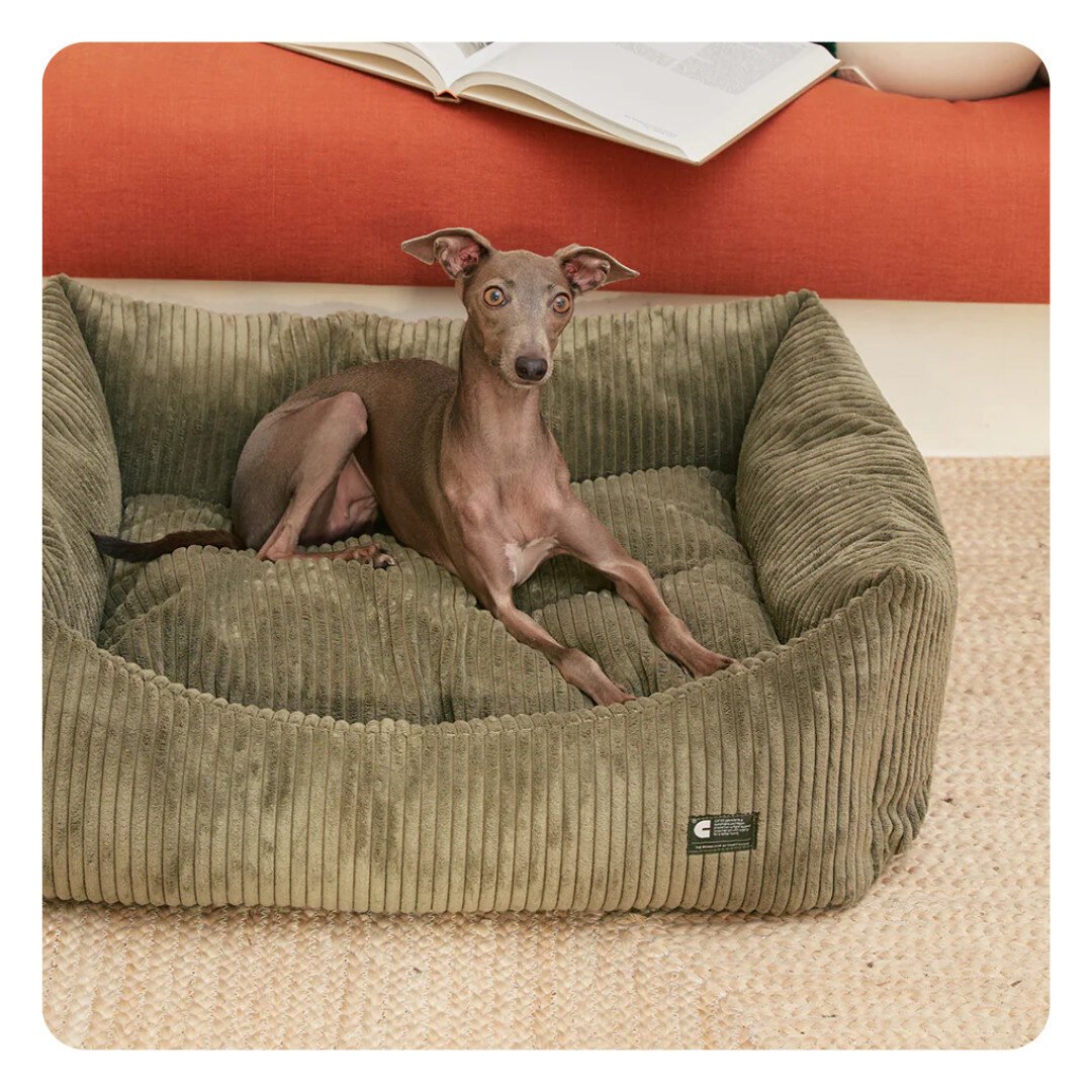 Cafide Snozy Hundeseng Grøn Fløjl - Billede 2