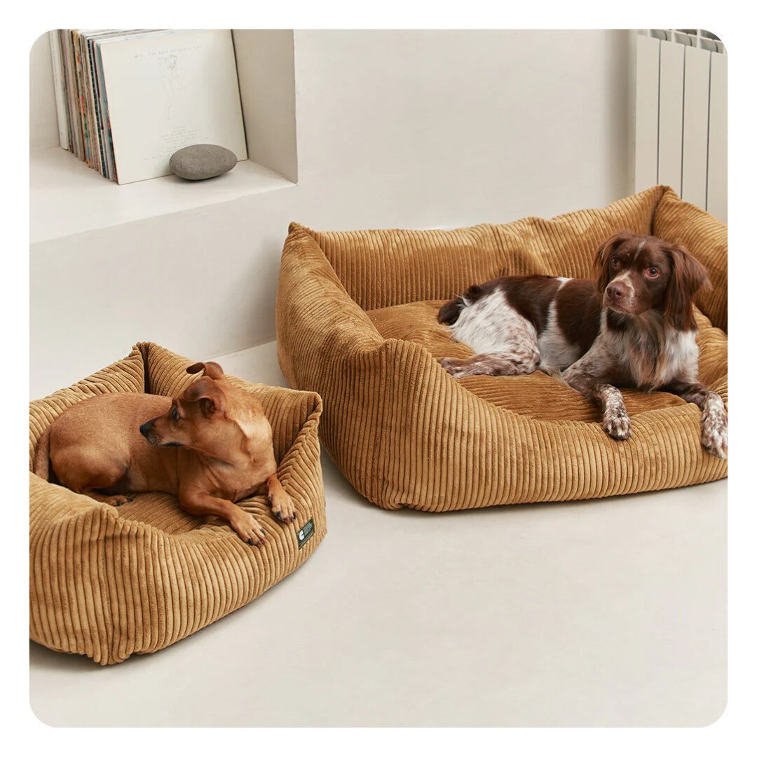 Cafide Snozy Hundeseng Mustard Fløjl - Billede 2