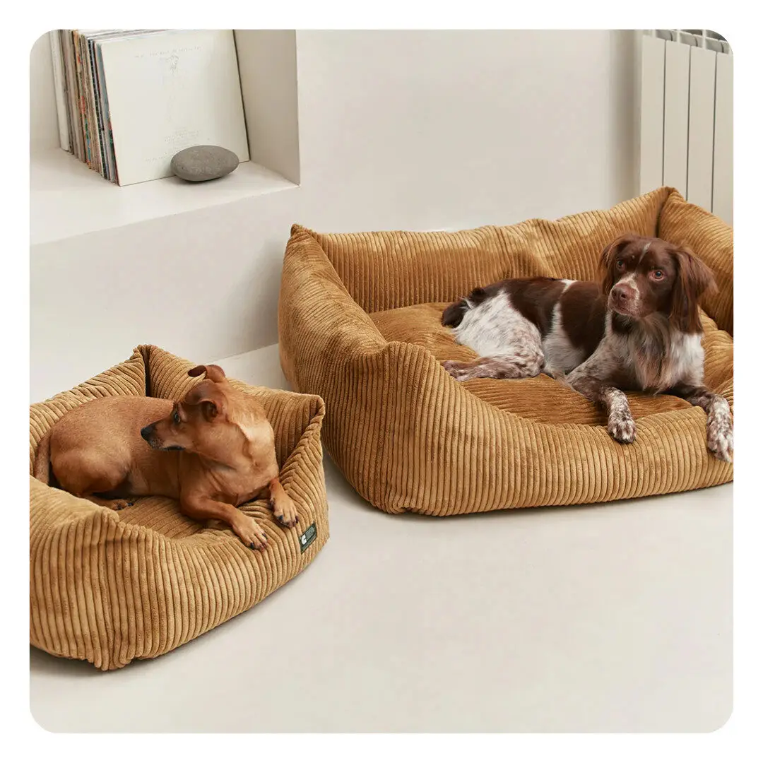 Cafide Snozy Hundeseng Mustard Fløjl - Billede 2