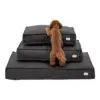 Cafide Quadra Hundemadras Sort