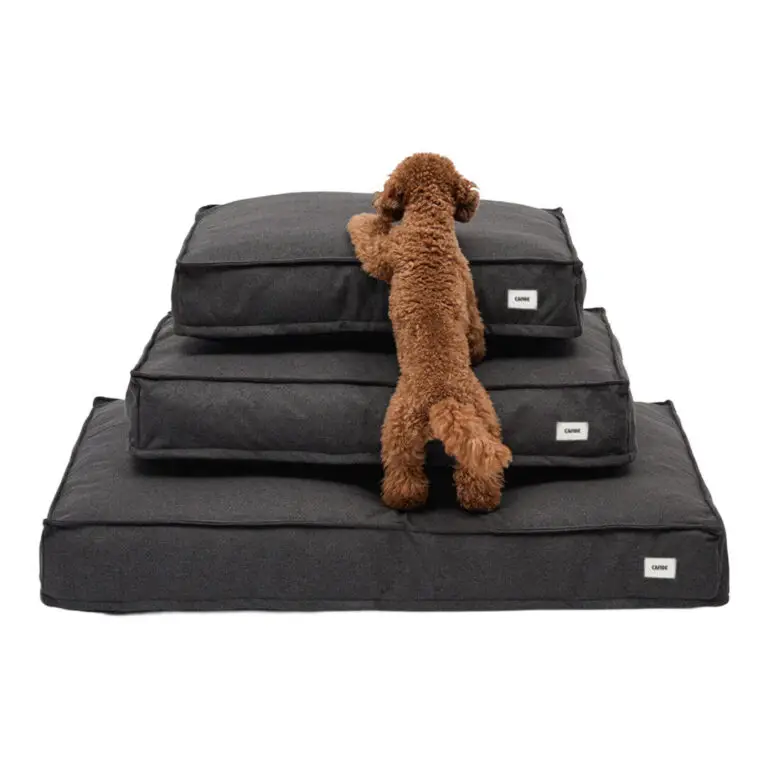 Cafide Quadra Hundemadras Sort