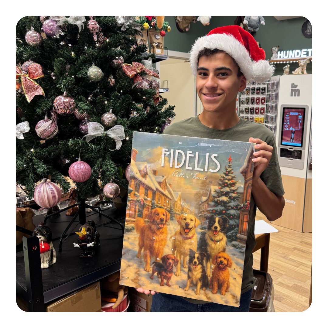 Sanadog Julekalender XXL Til Hunde Med 24 Overraskelser - Billede 2