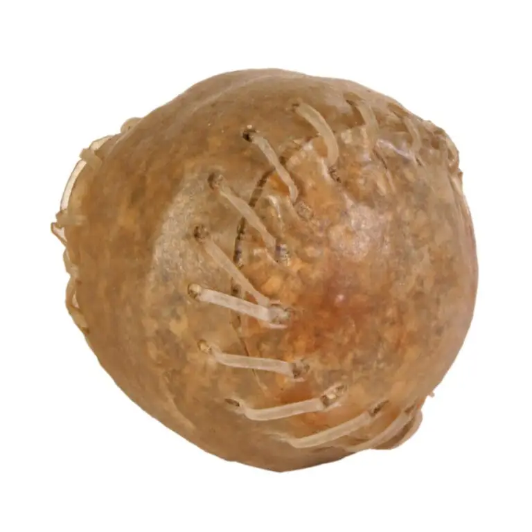 Trixie Tyggeben Stor Tyggebold