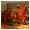 Olivers Signature Riverside Feast Hundefoder