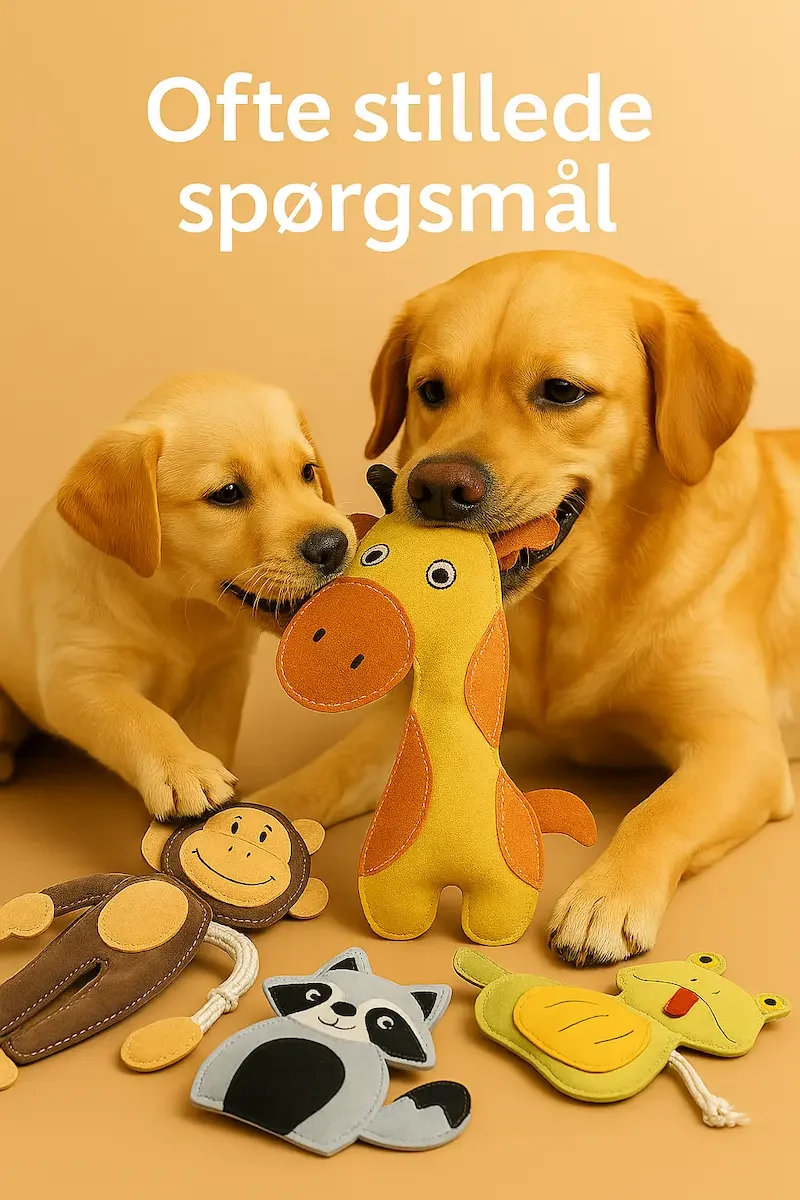 Ofte stillede spørgsmål om naturligt legetøj til hunde