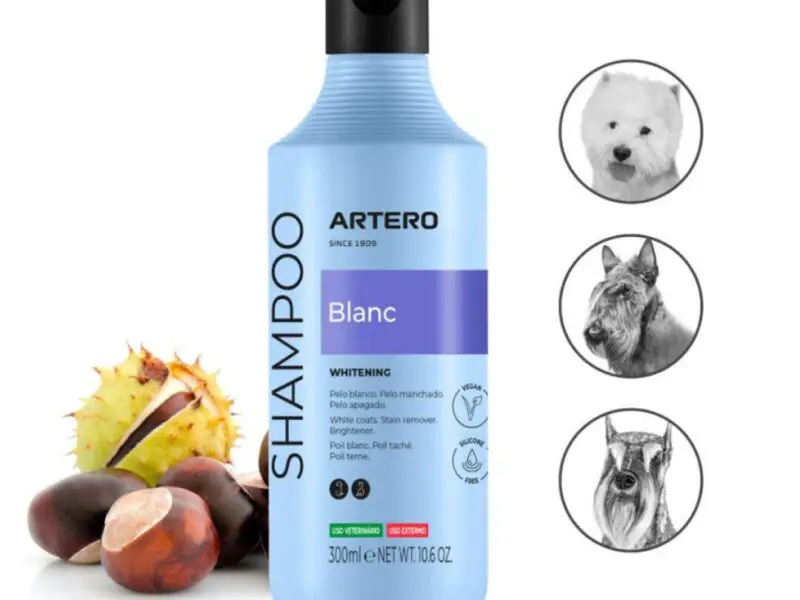Artero Blanc Hundeshampoo Til Hvid Pels 300 ml